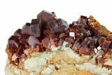 Deep Red Vanadinite Crystal Cluster - Huge Crystals! #157046-2